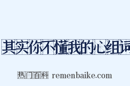 其实你不懂我的心组词是什么意思的图片